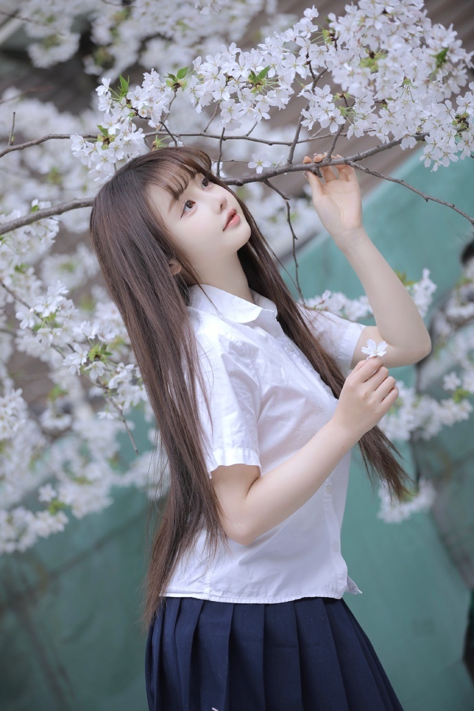 雍正王朝 封面